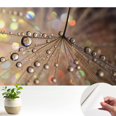 Fototapeta do salonu Delikatna struktura kropli rozproszonych na tle