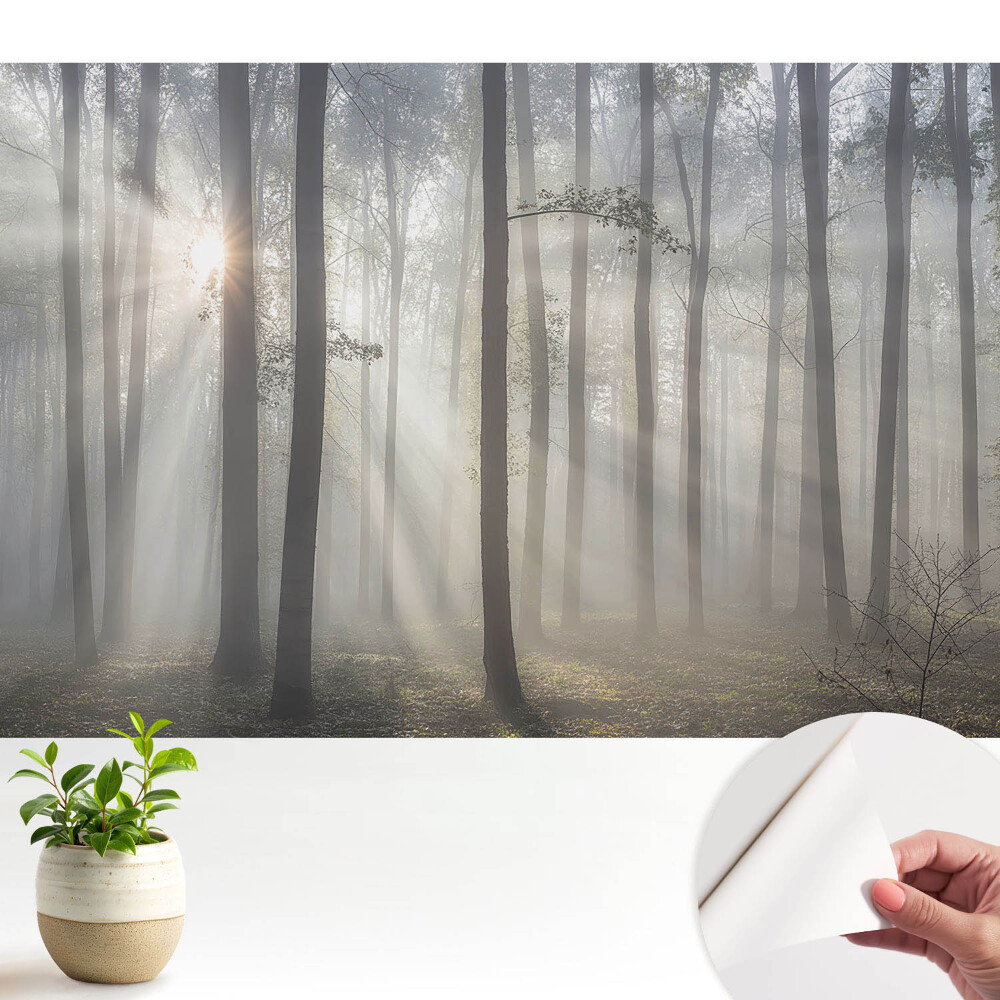 Fototapeta samoprzylepna do salonu Poranny spokój wśród drzew