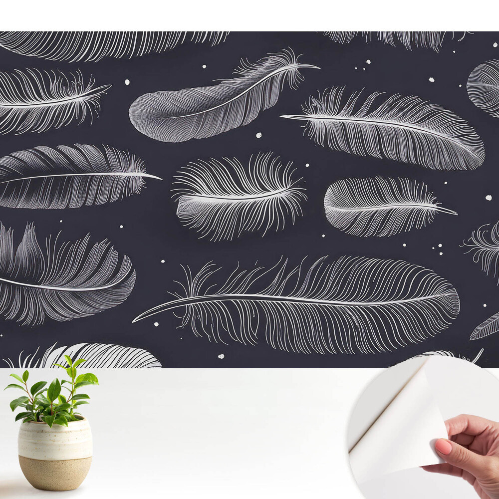 Tapeta fotograficzna samoprzylepna Pióra na ciemnym tle