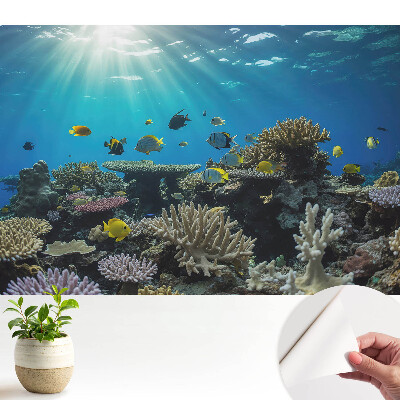 Fototapeta do salonu Podwodne koralowce i kolorowe ryby