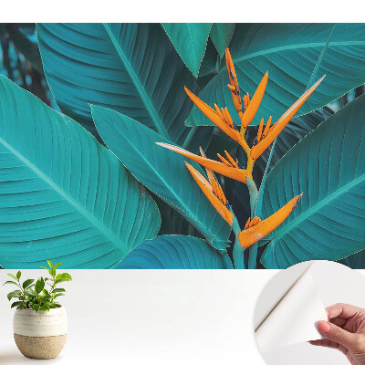 Fototapeta do salonu Egzotyczny motyw roślinny