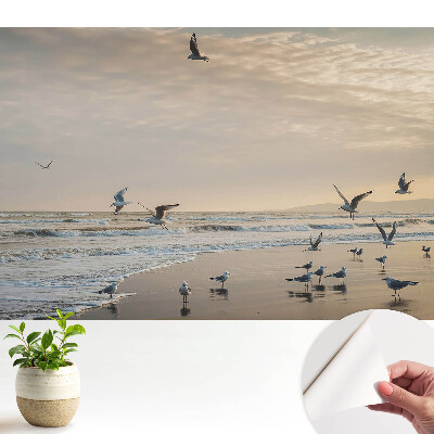 Tapeta fotograficzna samoprzylepna Mewy przy morskim brzegu o zachodzie słońca