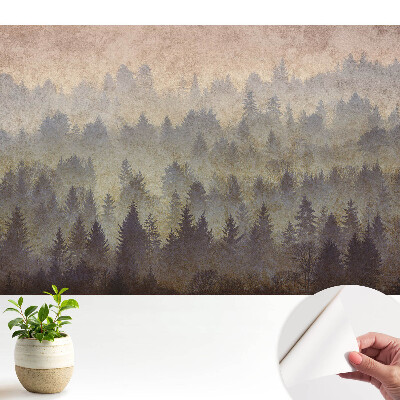 Fototapeta na wymiar do sypialni Nastrojowe lasy mgłą otulone