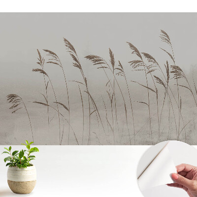 Fototapeta z nadrukiem samoprzylepna Subtelne źdźbła traw w mgielnej aurze