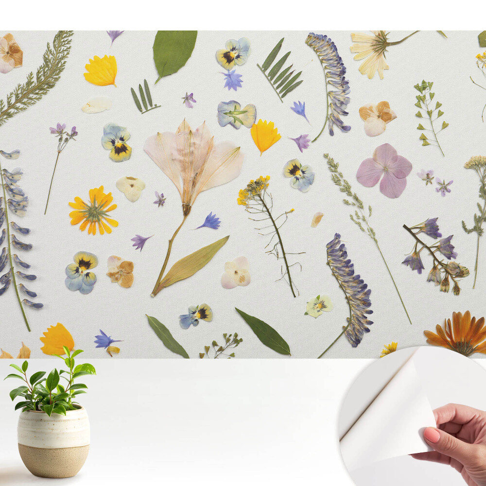 Nowoczesna fototapeta na wymiar Suszone kwiaty na białym płótnie