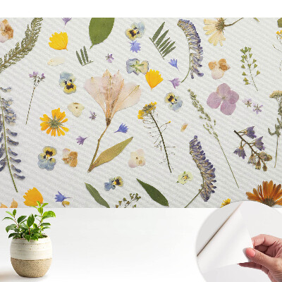 Nowoczesna fototapeta na wymiar Suszone kwiaty na białym płótnie