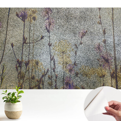 Fototapeta samoprzylepna do salonu Eteryczne kwiaty polne