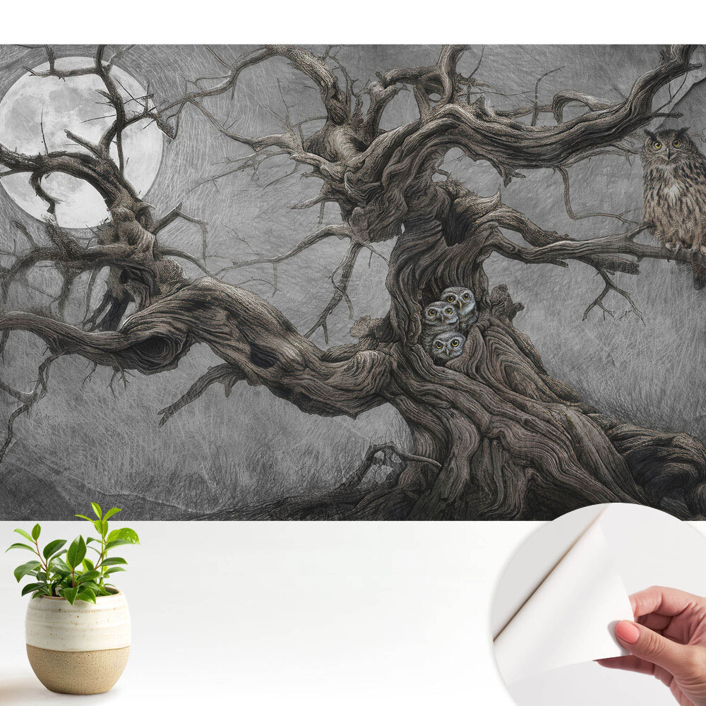 Fototapeta do salonu Magiczna nocna sceneria z sowami