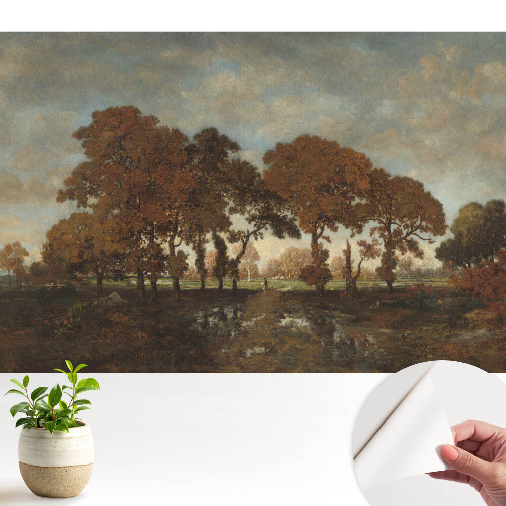 Nowoczesna fototapeta na wymiar Jesienne drzewa w rustykalnym krajobrazie