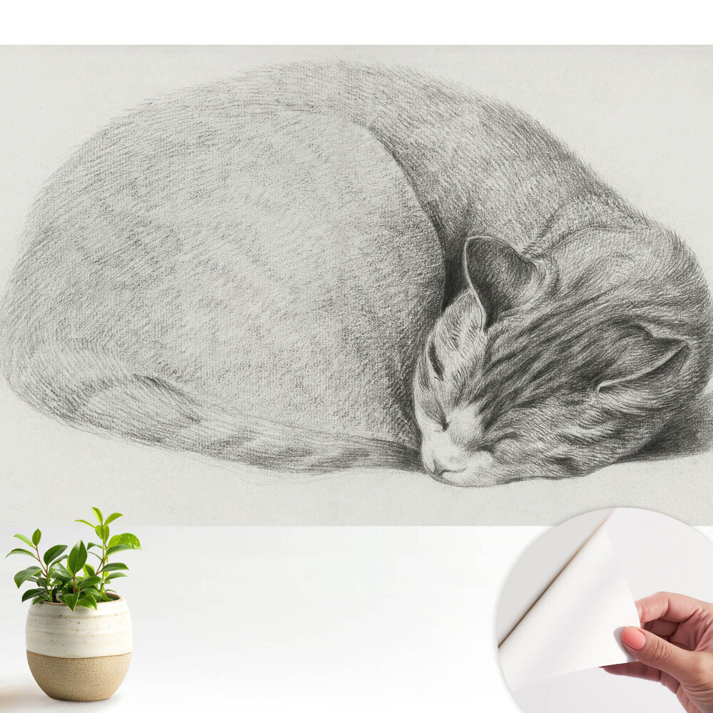 Fototapeta z nadrukiem samoprzylepna Śpiący kot realistyczny rysunek