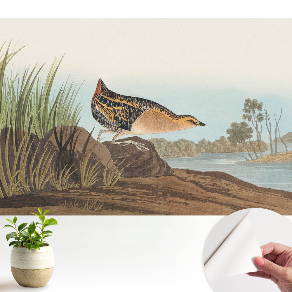 Tapeta fotograficzna samoprzylepna Ptak nad wodą w klasycznym stylu