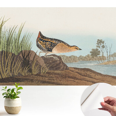 Tapeta fotograficzna samoprzylepna Ptak nad wodą w klasycznym stylu