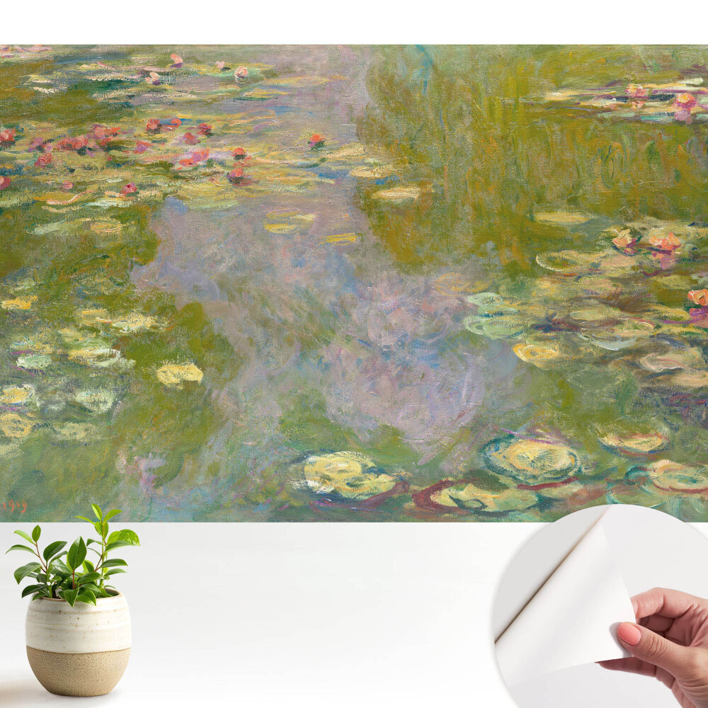 Fototapeta do salonu Romantyczna woda z liliami