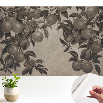 Fototapeta do salonu Monochromatyczne owoce retro liście vintage