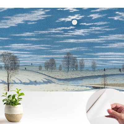 Fototapeta samoprzylepna do salonu Nastrojowy zimowy krajobraz pod księżycem
