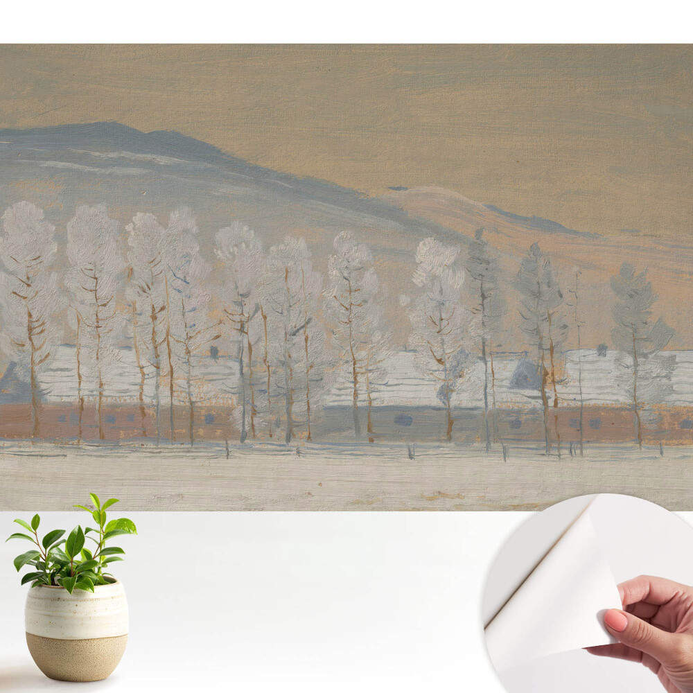 Fototapeta samoprzylepna do salonu Zimowy pejzaż górski malownicze chaty