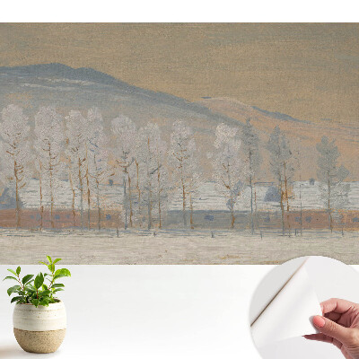 Fototapeta samoprzylepna do salonu Zimowy pejzaż górski malownicze chaty