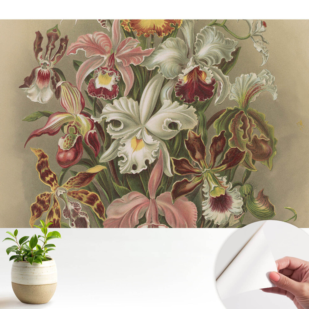 Fototapeta Egzotyczne kwiaty harmonia natury