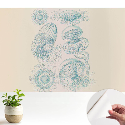 Fototapeta do salonu Subtelne rysunki morskie meduz