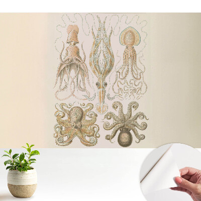 Fototapeta na wymiar do sypialni Morskie głowonogi harmonia detali