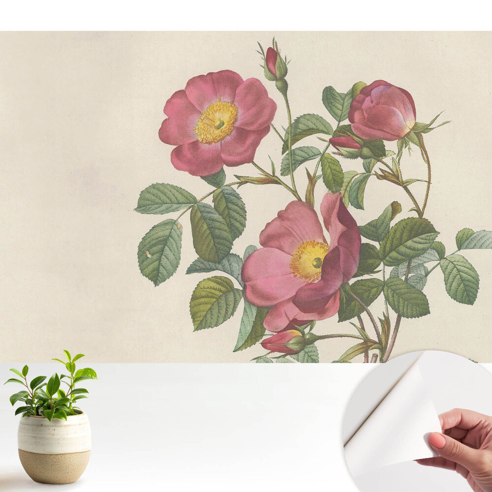 Nowoczesna fototapeta na wymiar Dzikie róże w klasycznej kompozycji