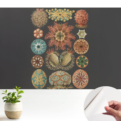 Fototapeta z nadrukiem samoprzylepna Abstrakcyjne formy morskie w klasycznym stylu