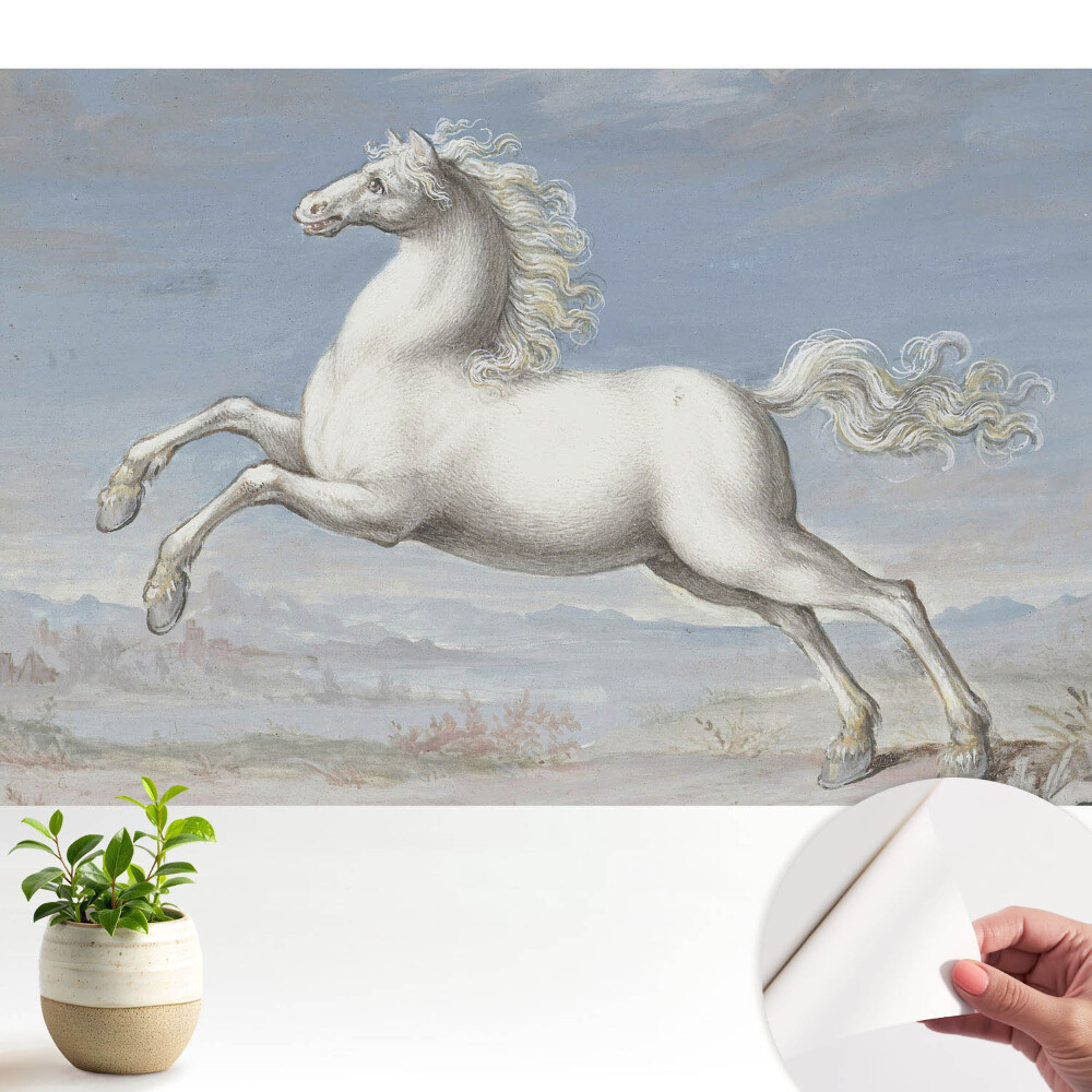 Tapeta fotograficzna samoprzylepna Biały koń w dynamicznym skoku