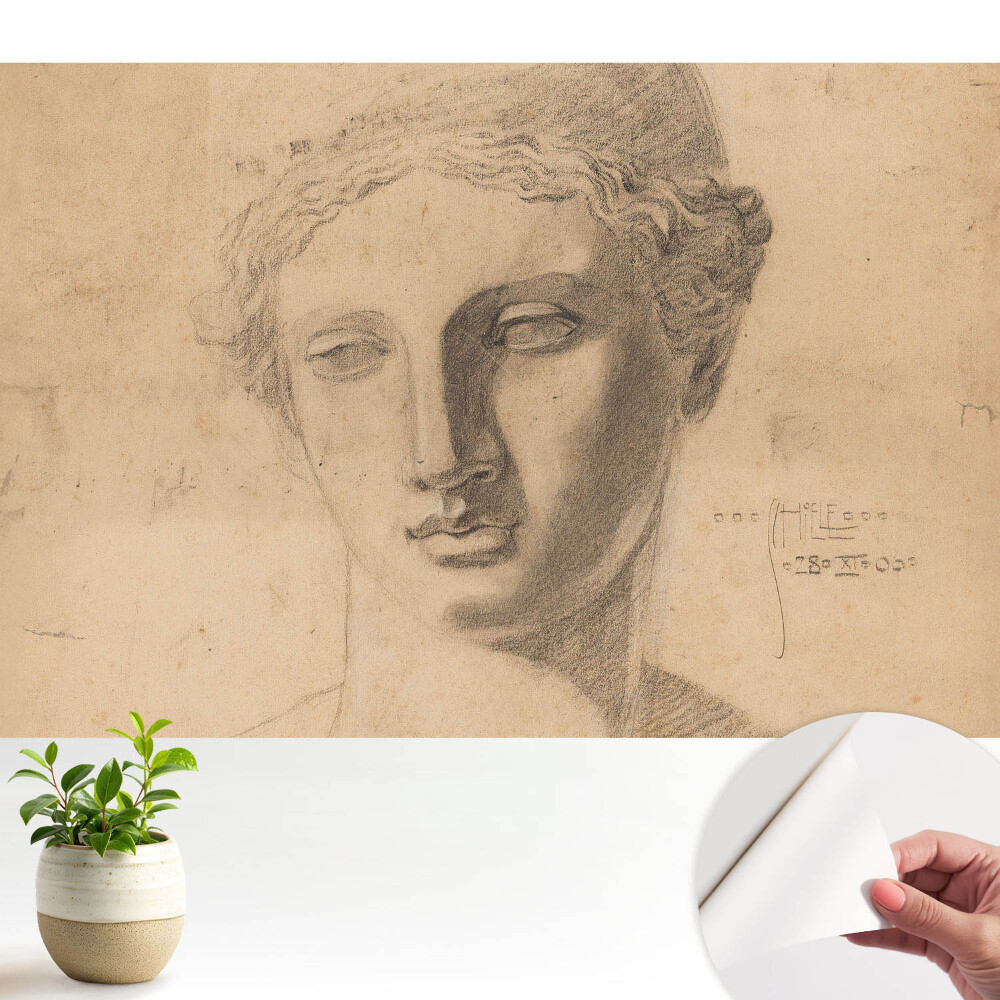 Fototapeta samoprzylepna do salonu Grafika klasyczna kobieca twarz