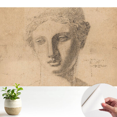 Fototapeta samoprzylepna do salonu Grafika klasyczna kobieca twarz