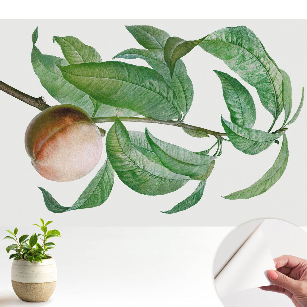 Fototapeta na wymiar do sypialni Brzoskwinia i liście w klasycznym stylu