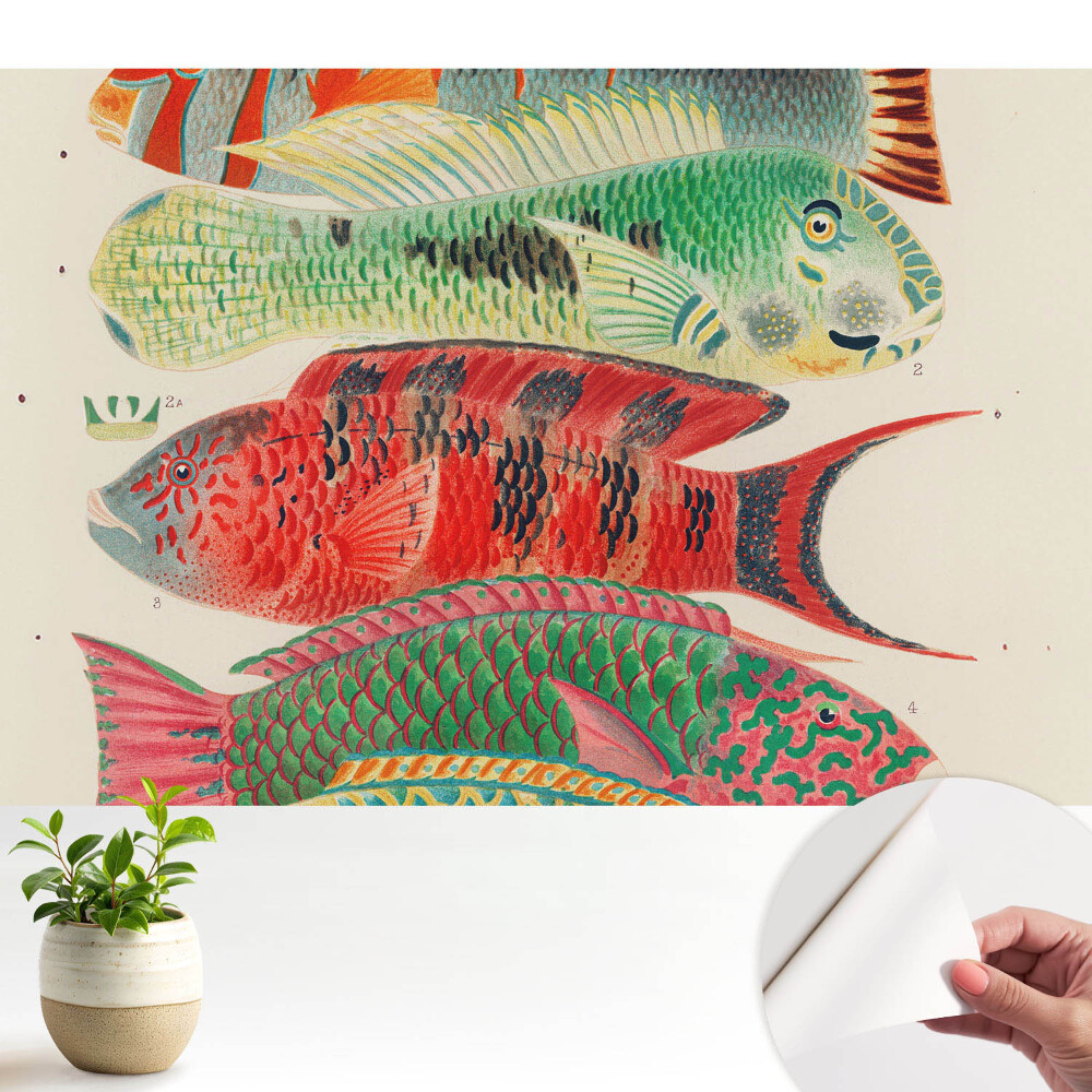 Fototapeta samoprzylepna do salonu Kolorowe ryby ilustrowane klasycznie