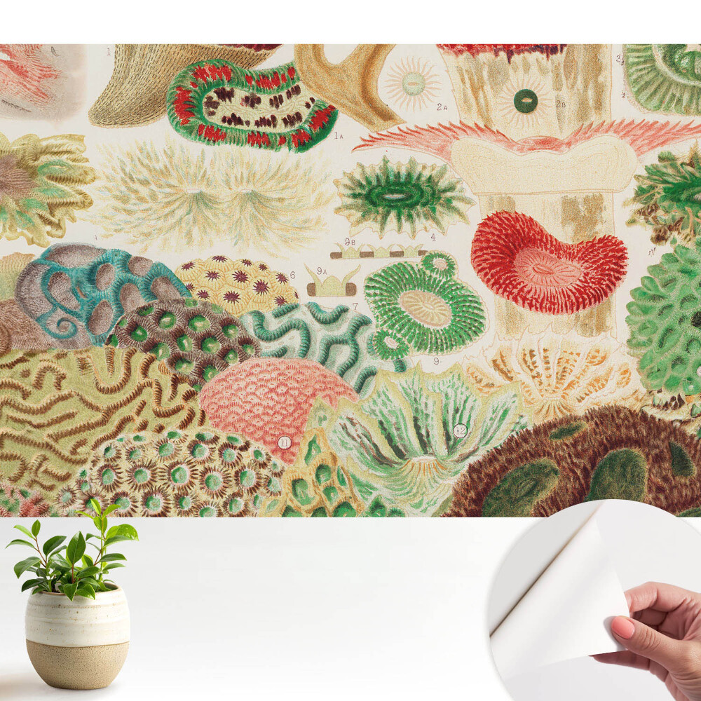 Nowoczesna fototapeta na wymiar Abstrakcyjne motywy organiczne i struktury