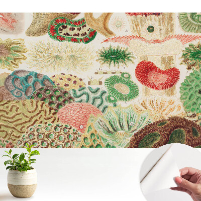 Nowoczesna fototapeta na wymiar Abstrakcyjne motywy organiczne i struktury