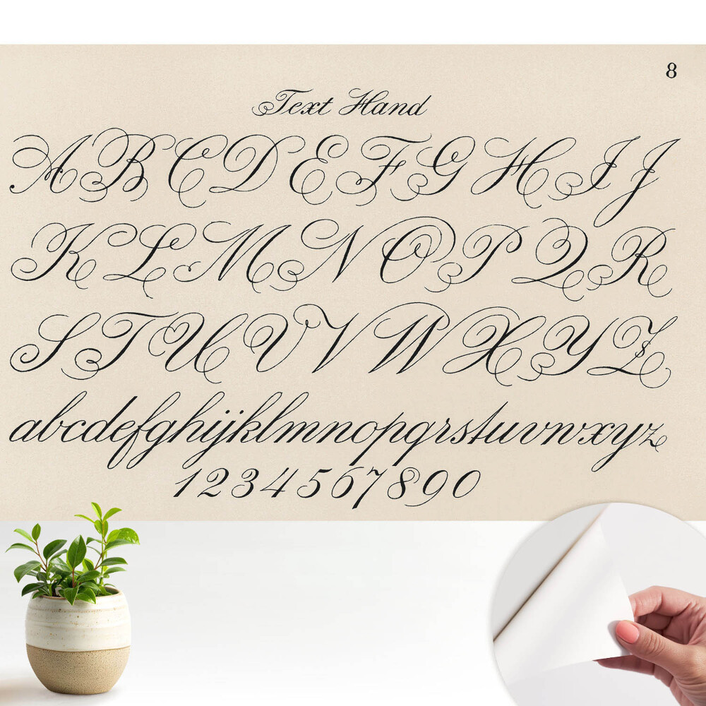 Tapeta fotograficzna samoprzylepna Kaligraficzny alfabet z wyszukanymi zawijasami