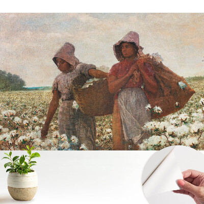 Fototapeta samoprzylepna do salonu Rustykalne pole bawełny