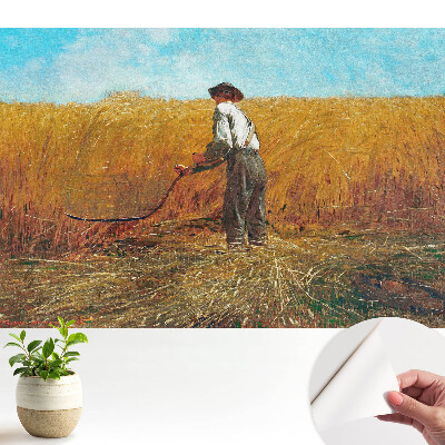 Nowoczesna fototapeta na wymiar Rolnik na polu pszenicy pod błękitnym niebem