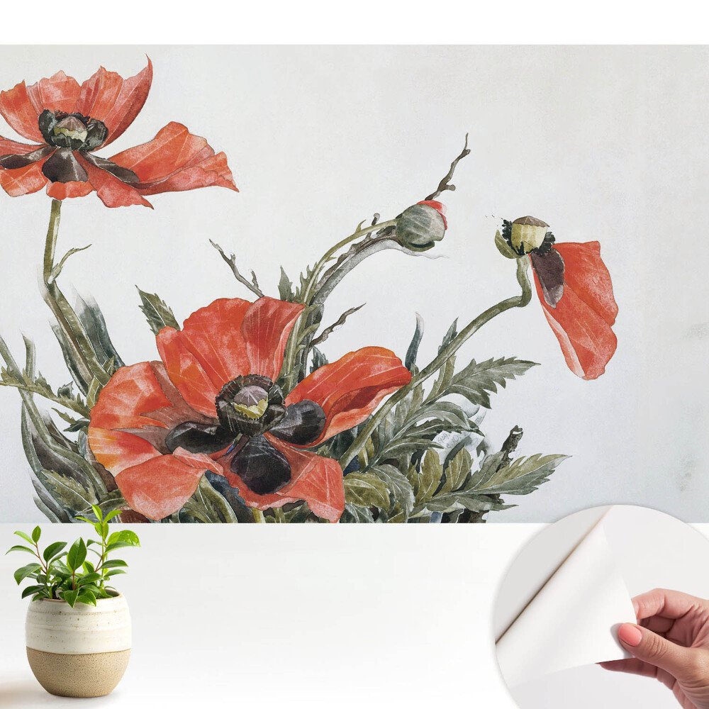 Fototapeta do salonu Delikatne maki na jasnym tle