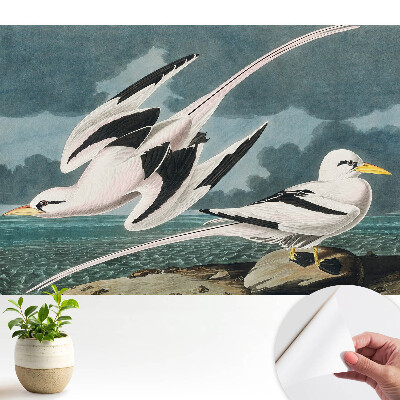 Fototapeta samoprzylepna do salonu Klasyczny obraz ptaków przy brzegu