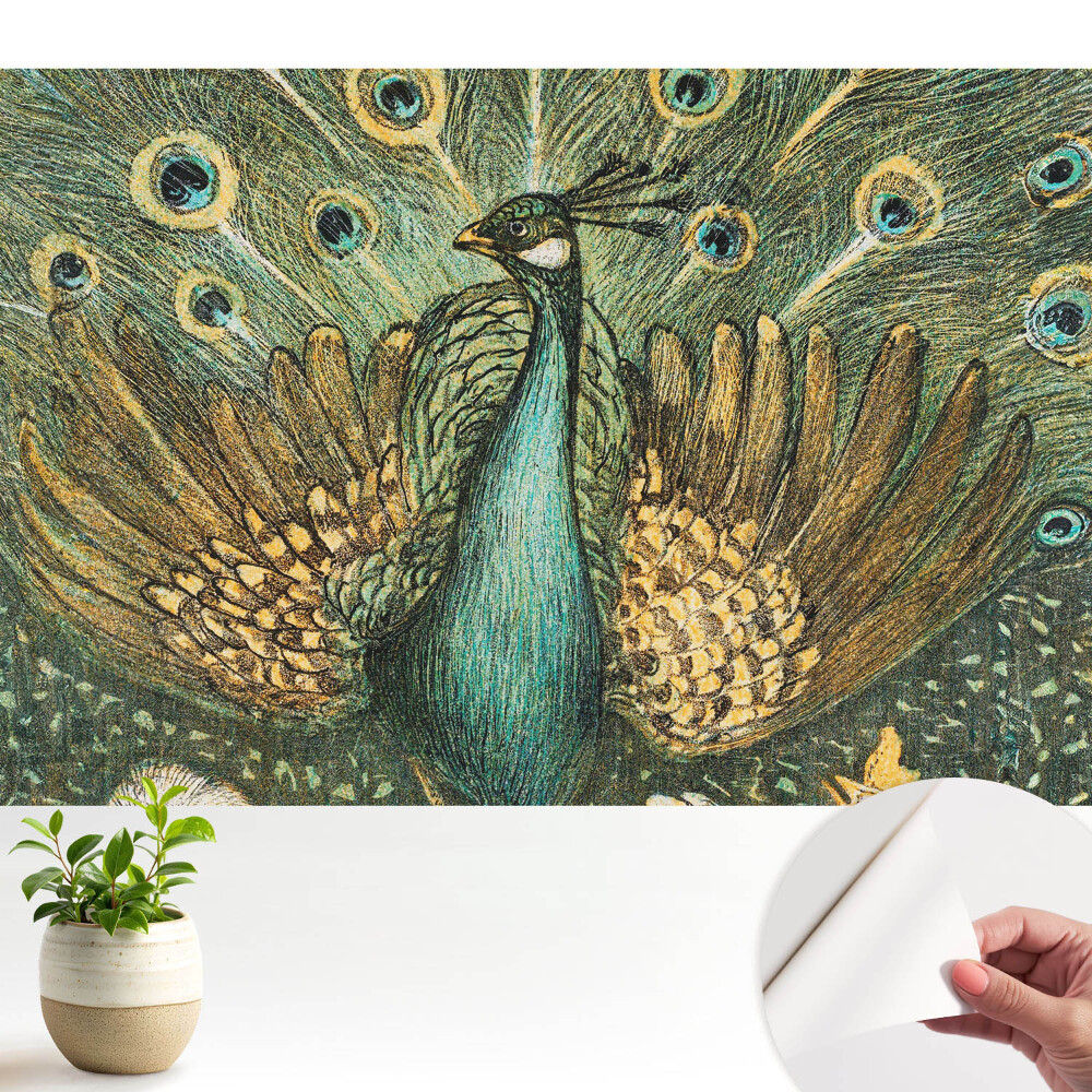 Nowoczesna fototapeta na wymiar Klasyczny paw elegancja natura