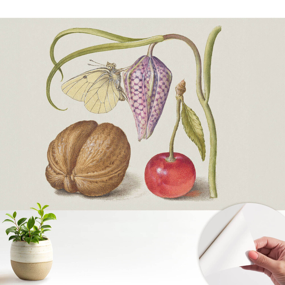 Fototapeta samoprzylepna do salonu Motyl na kwiatku liść i owoce