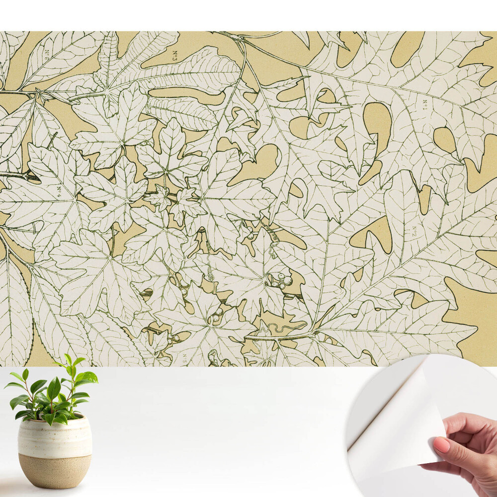 Tapeta fotograficzna samoprzylepna Rysunek botaniczny liści drzewa