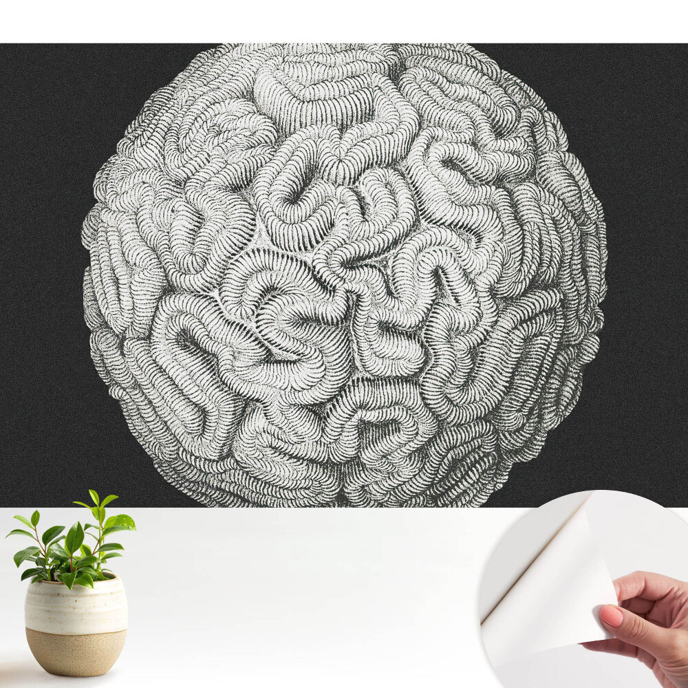 Fototapeta do salonu Monochromatyczna sferyczna struktura harmonijna