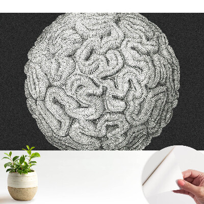 Fototapeta do salonu Monochromatyczna sferyczna struktura harmonijna