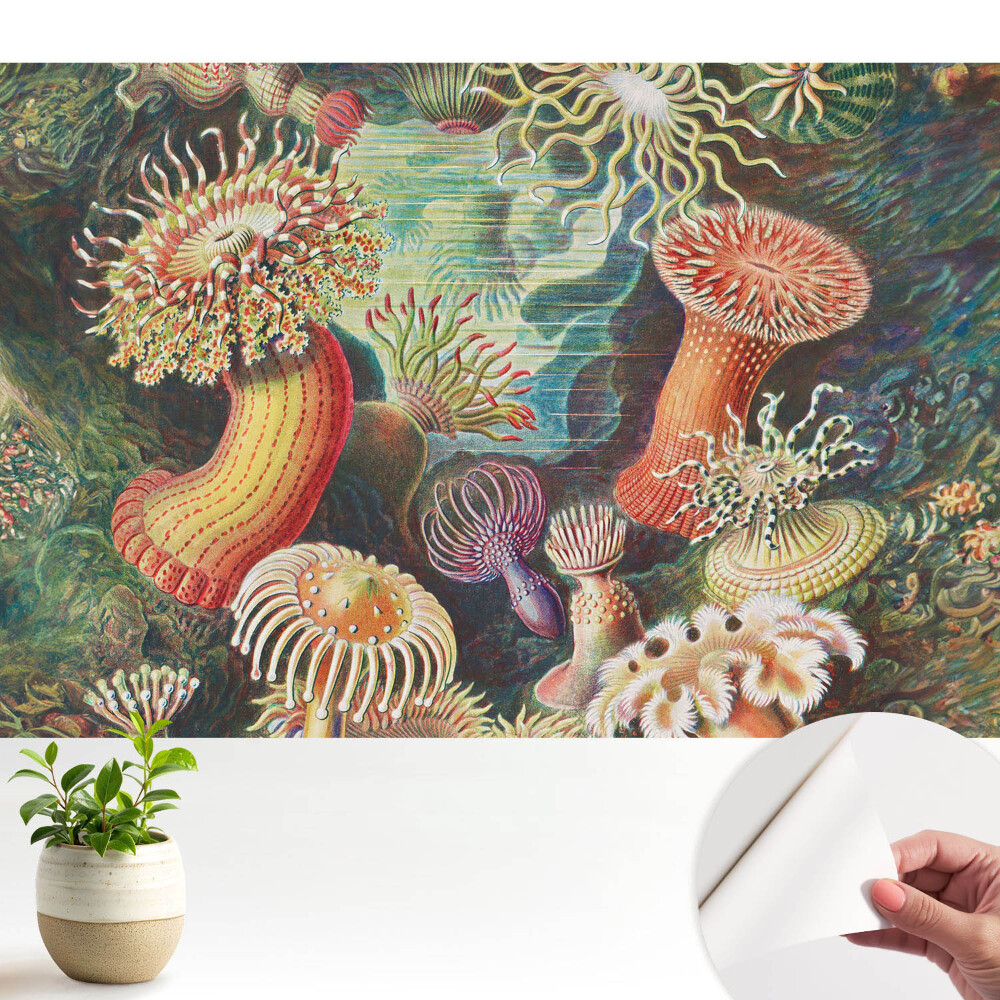 Nowoczesna fototapeta na wymiar Podwodne formy i jaskrawe kolory