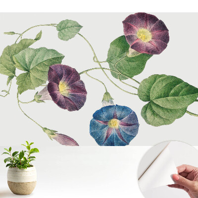 Fototapeta Delikatne kwiatowe motywy botaniczne