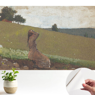 Fototapeta na wymiar do sypialni Zamysł sielankowy kobieta na wzgórzu