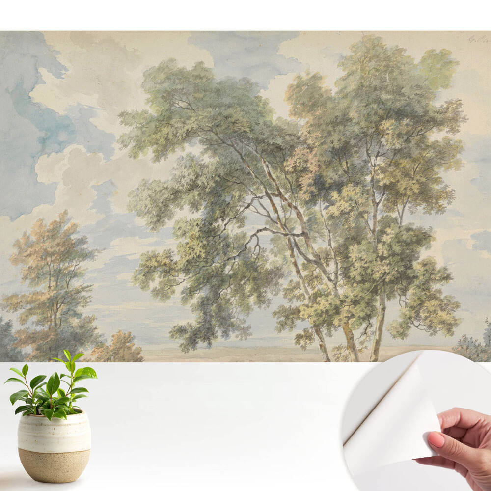 Tapeta fotograficzna samoprzylepna Kojący krajobraz drzew i nieba