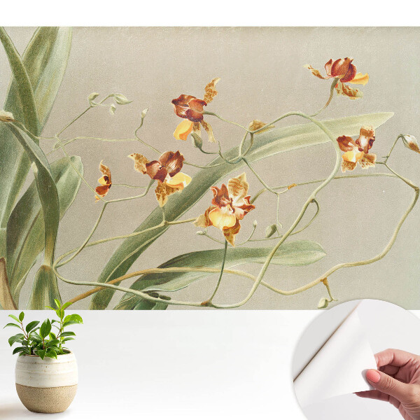 Fototapeta z nadrukiem samoprzylepna Piękne orchidee na szarym tle