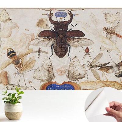 Tapeta fotograficzna samoprzylepna Owady motyle pająk klasyczna symetria