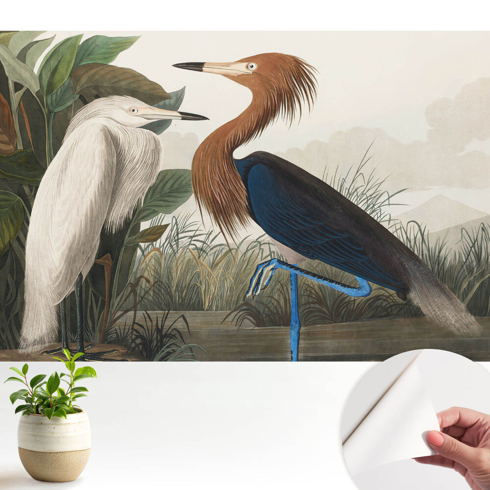 Fototapeta do salonu Eleganckie ptaki w roślinności